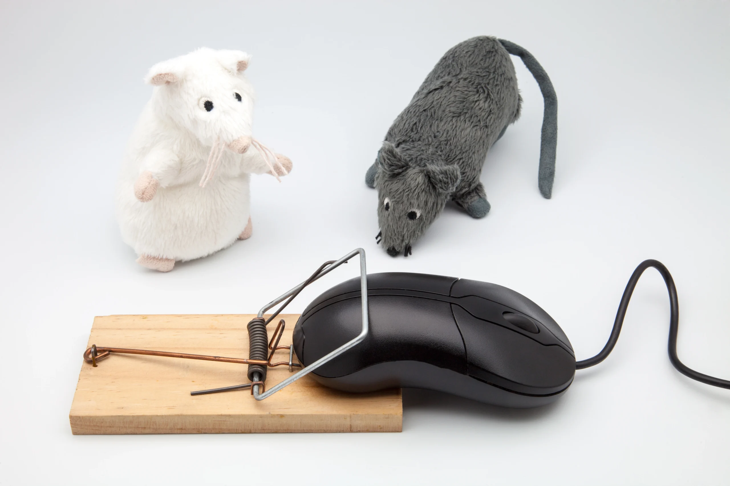 Wat is het verschil tussen een Logitech muis en Apple muis?
